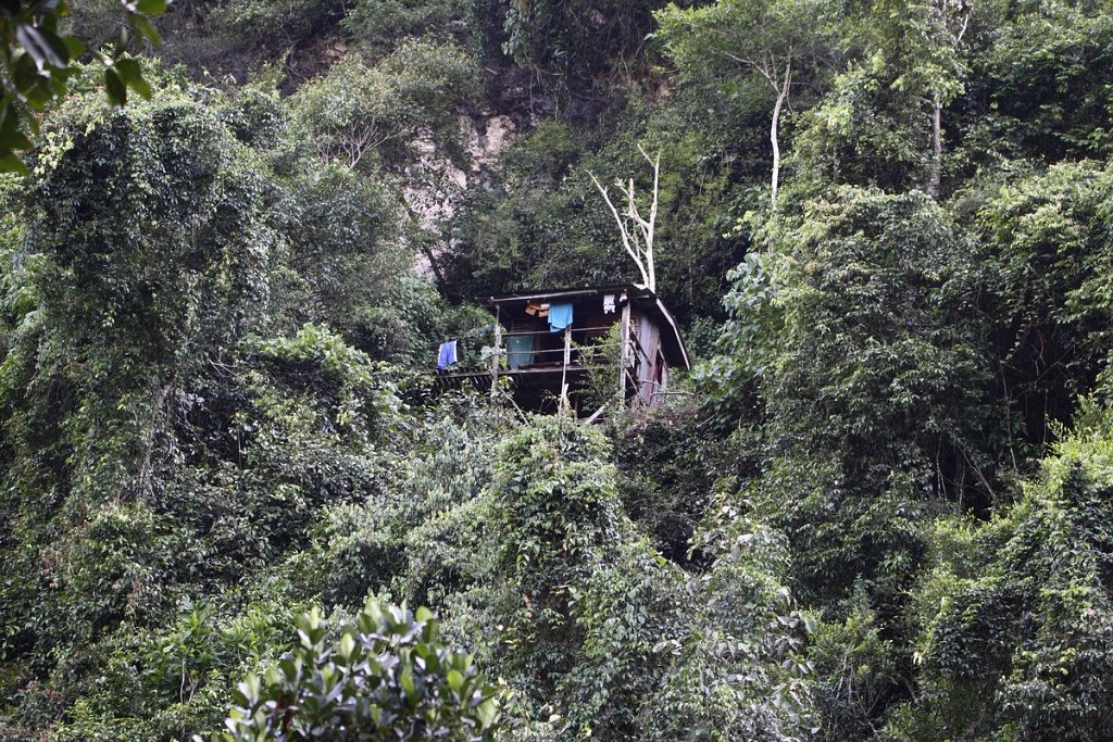 2013-Borneo-50D-30.jpg - Ved Gomantong grotten, bolig med utsikt