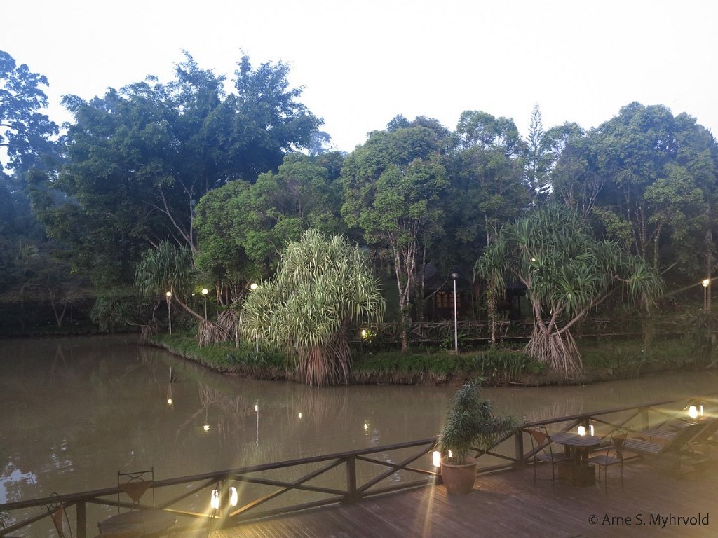 2013-Borneo-G1X-64.jpg - Sepilok Nature Resort, tidlig morgen