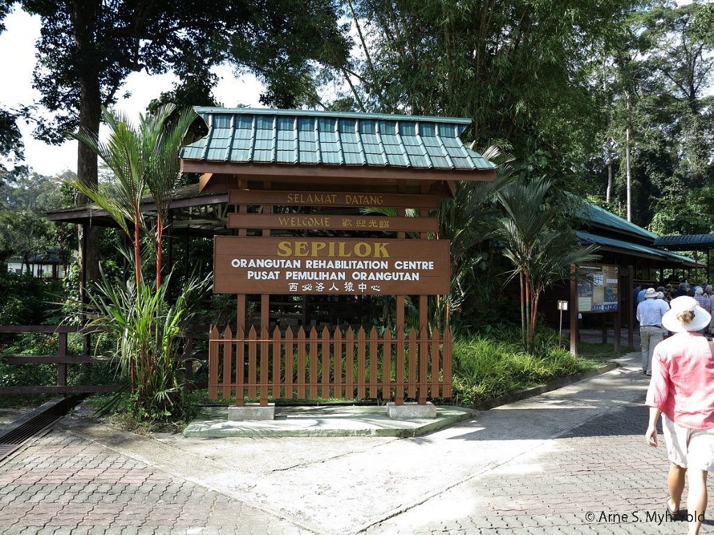 2013-Borneo-G1X-72.jpg - Sepilok orangutang rehabiliteringssenter