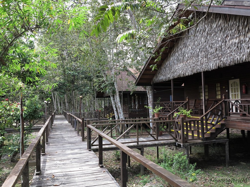 2013-Borneo-G1X-86.jpg -  Bilit Rainforest Lodge