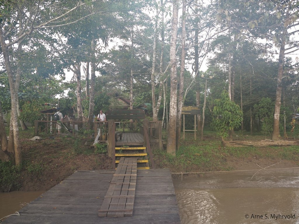 2013-Borneo-G1X-88.jpg - Kinabatangaelven ved Bilit, ved Bilit Rainforest Lodge
