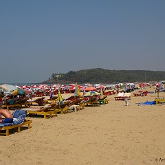Goa 2008