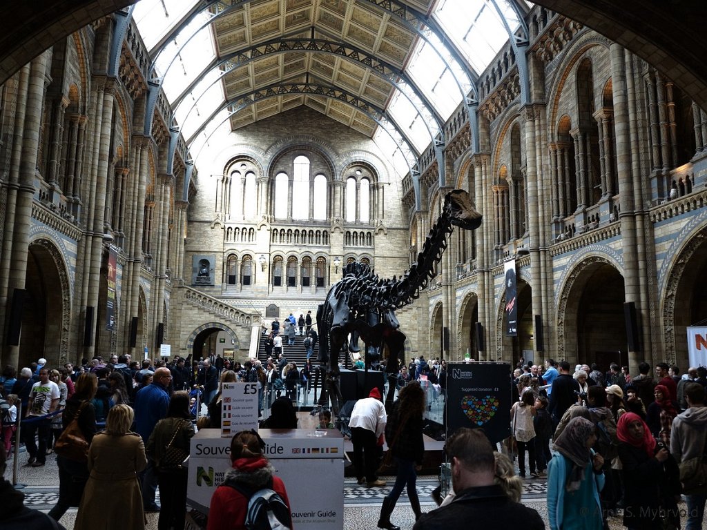 2012-London-48.jpg - Natural History Museum